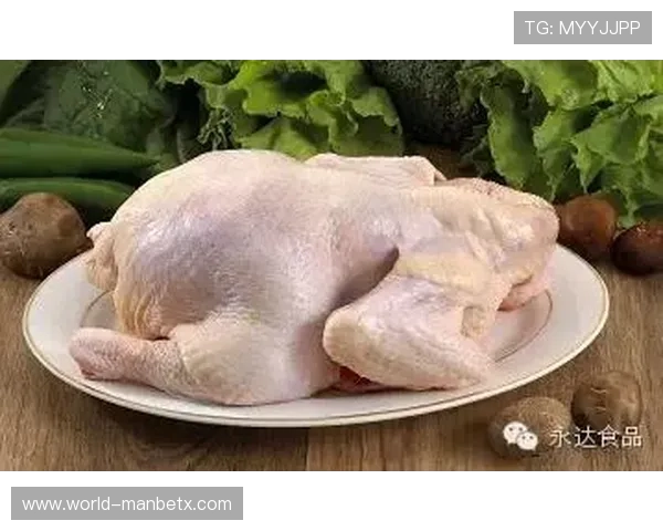 manbetx app客户端安全登录与账号管理技巧,保障您的账户信息安全